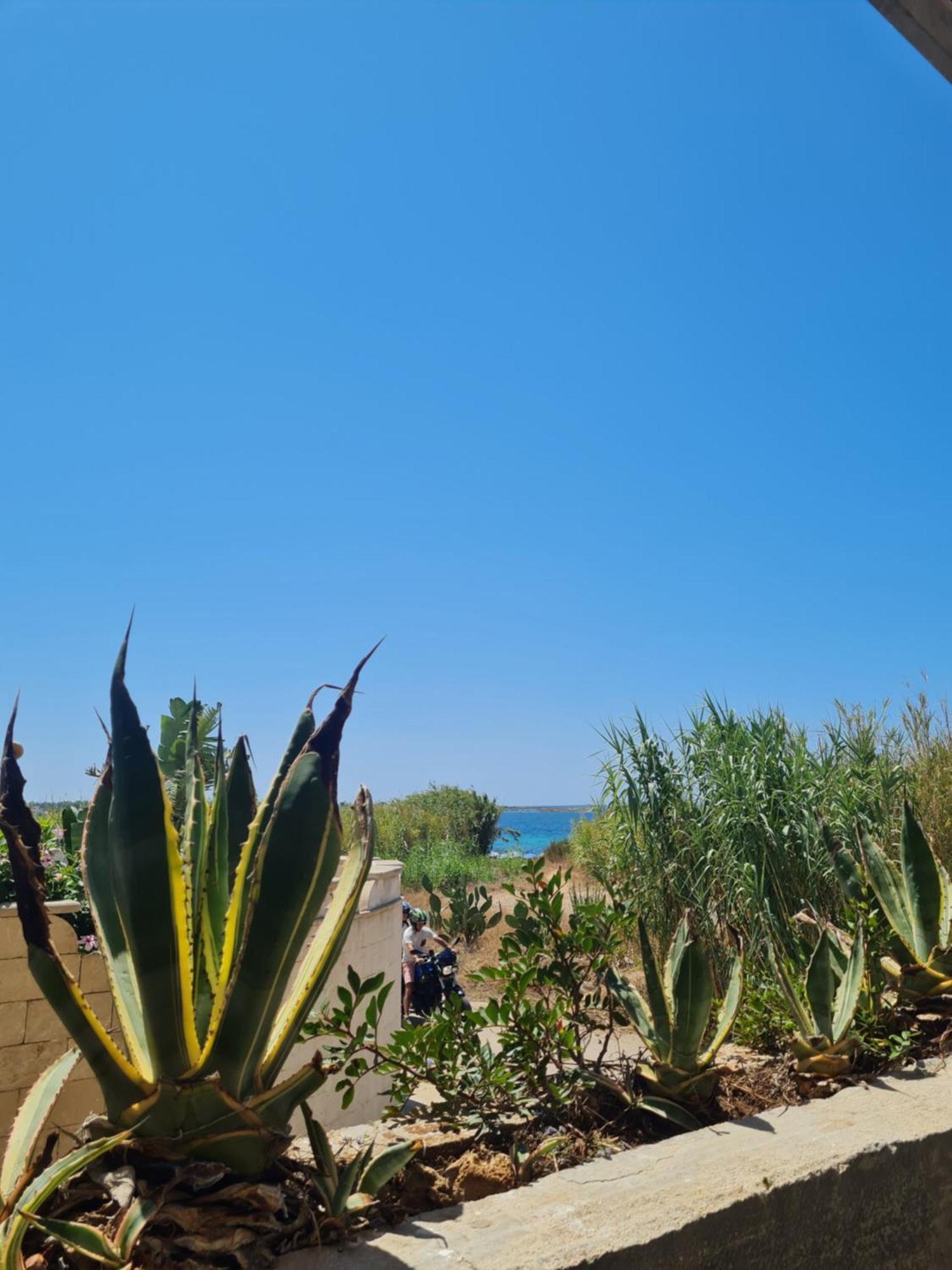 Stella Marina Villa Sant Isidoro  Luaran gambar