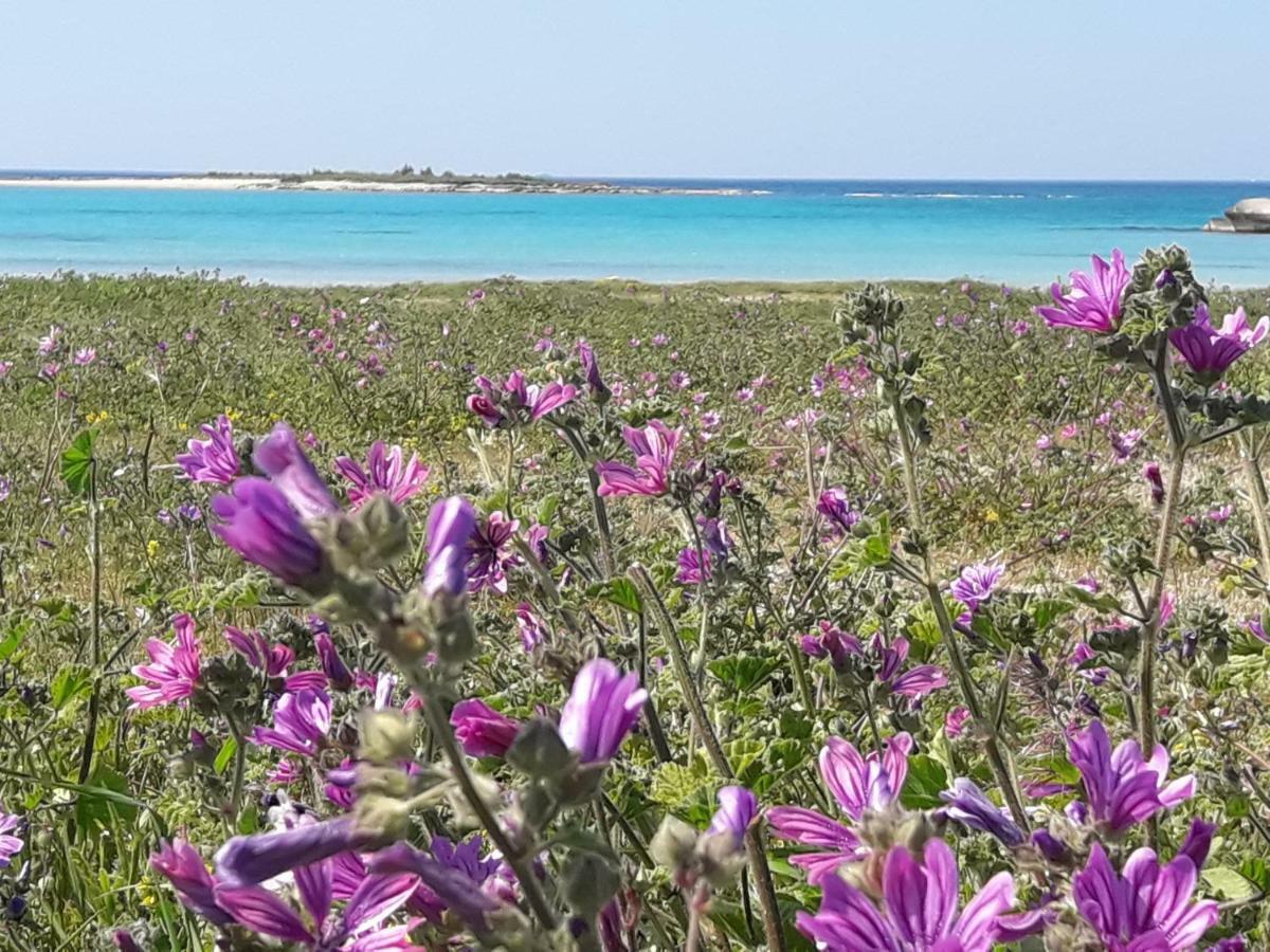 Stella Marina Villa Sant Isidoro  Luaran gambar